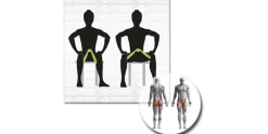 Schildkröt Fitness Beintrainer