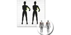 Schildkröt Fitness Beintrainer