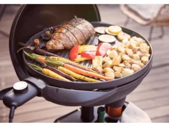 Severin Elektrogrill PG 8541
