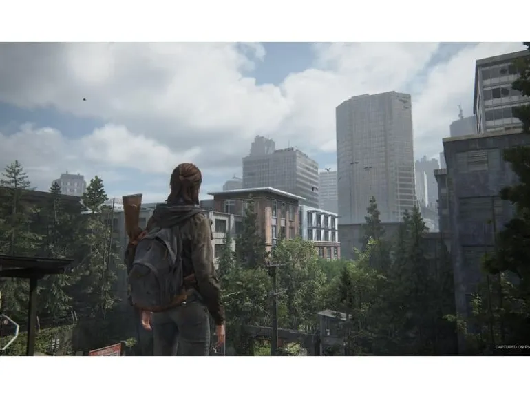 Sony The Last of Us Part II