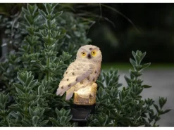 Star Trading Gartenlicht Solardekoration Owl, Beige