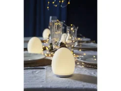 Star Trading LED Nachtlicht Functional, 2700K