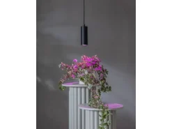 Star Trading Leuchtmittel LED Pflanzen GU10, 3.5 W, 42 lm