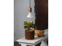 Star Trading Leuchtmittel Plant Light 800cd 16 W E27