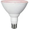 Star Trading Leuchtmittel Plant Light 570cd 16 W E27