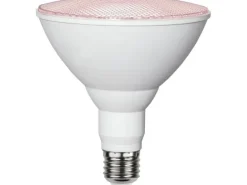 Star Trading Leuchtmittel Plant Light 570cd 16 W E27