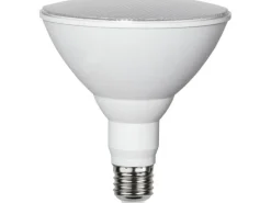 Star Trading Leuchtmittel Plant Light 570cd 16 W E27