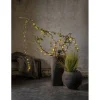 Star Trading Lichterkette Solar Dew Drop Micro, 100 LEDs, 740 cm, Grün