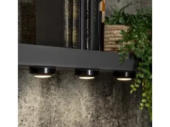 Star Trading Unterbauleuchte LED Nachtlicht, Ø 6.9 cm, Schwarz