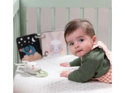 TAF-TOYS Geschenkset Hello Baby 0M+
