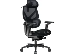 ThunderX3 Bürostuhl FLEX Pro Schwarz
