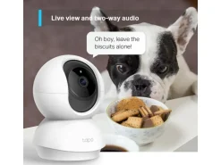 TP-Link Netzwerkkamera Tapo C210