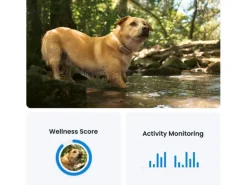 tractive GPS-Tracker DOG 6 Braun