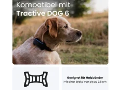 tractive GPS-Tracker Dog 6 Klammern schwarz 2 Stück
