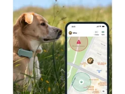 tractive GPS-Tracker DOG 6 Mint