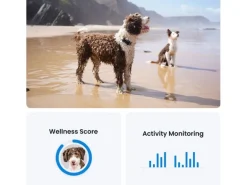 tractive GPS-Tracker DOG 6 Schwarz