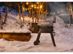 TRAEGER Pelletgrill Pro 22