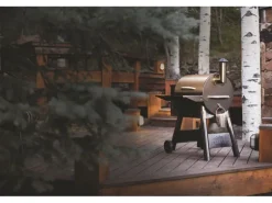 TRAEGER Pelletgrill Pro 22