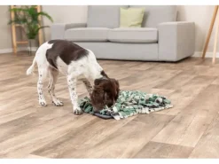 Trixie Strategie-Spiel Activity Schnüffelteppich 50 x 34 cm