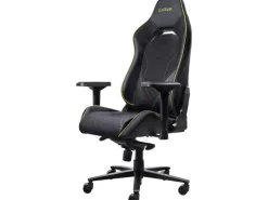Trust Gaming-Stuhl GXT 721 Ruya Pro Schwarz