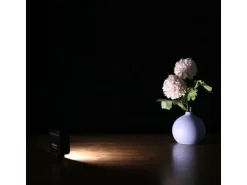 Ulanzi Videoleuchte VL49