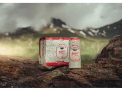 Valaisanne Lager Bier 6 x 0.5 l