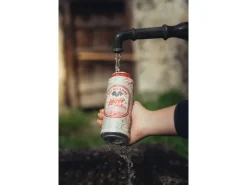 Valaisanne Lager Bier 6 x 0.5 l