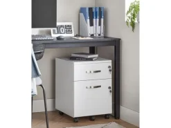 VASAGLE Aktenschrank mit zwei Schubladen