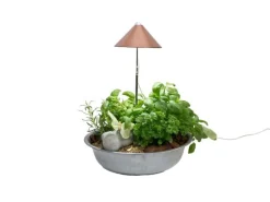 Venso Solutions Pflanzenleuchte SunLite 7 W, Kupfer
