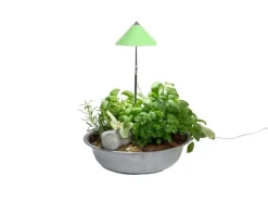 Venso Solutions Pflanzenleuchte SunLite 7 W, Grün