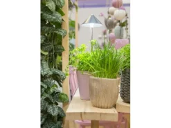 Venso Solutions Pflanzenleuchte SunLite 7 W, Grau
