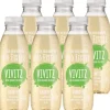 Vivitz Eistee Grüntee Bio 6 x 0.5 l