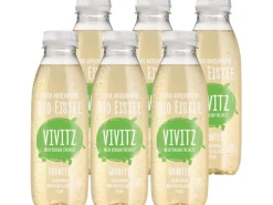 Vivitz Eistee Grüntee Bio 6 x 0.5 l