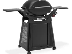 Weber Gasgrill Q3200N+ mit Rollwagen