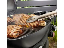 Weber Gasgrill Q3200N+ mit Rollwagen