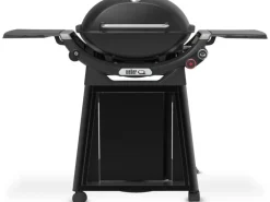 Weber Gasgrill Q3200N+ mit Rollwagen