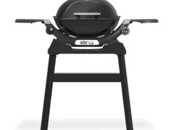 Weber Gasgrill Q1200N mit Stand