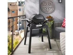 Weber Gasgrill Q1200N mit Stand