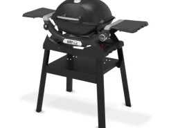 Weber Gasgrill Q1200N mit Stand