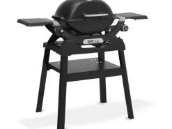 Weber Gasgrill Q1200N mit Stand