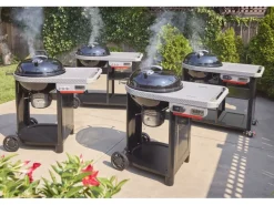 Weber Holzkohlegrill Performer Ø 57 cm
