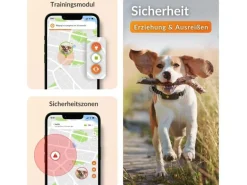 Weenect GPS-Tracker für Hunde XT mit Halsband orange