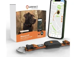 Weenect GPS-Tracker für Hunde XT mit Halsband orange