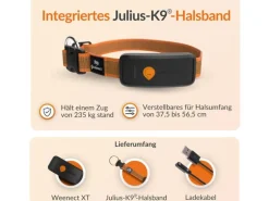Weenect GPS-Tracker für Hunde XT mit Halsband orange