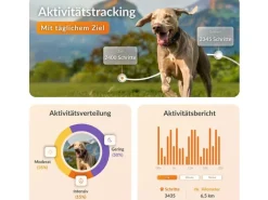 Weenect GPS-Tracker für Hunde XT mit Halsband orange