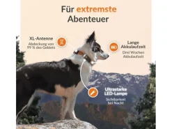 Weenect GPS-Tracker für Hunde XT mit Halsband orange