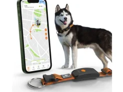 Weenect GPS-Tracker für Hunde XT mit Halsband orange