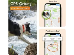 Weenect GPS-Tracker für Hunde XT mit Halsband orange