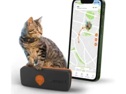 Weenect GPS-Tracker XS für Katzen, Schwarz