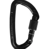 Wild Country Carabiner Session Screw Gate Schwarz